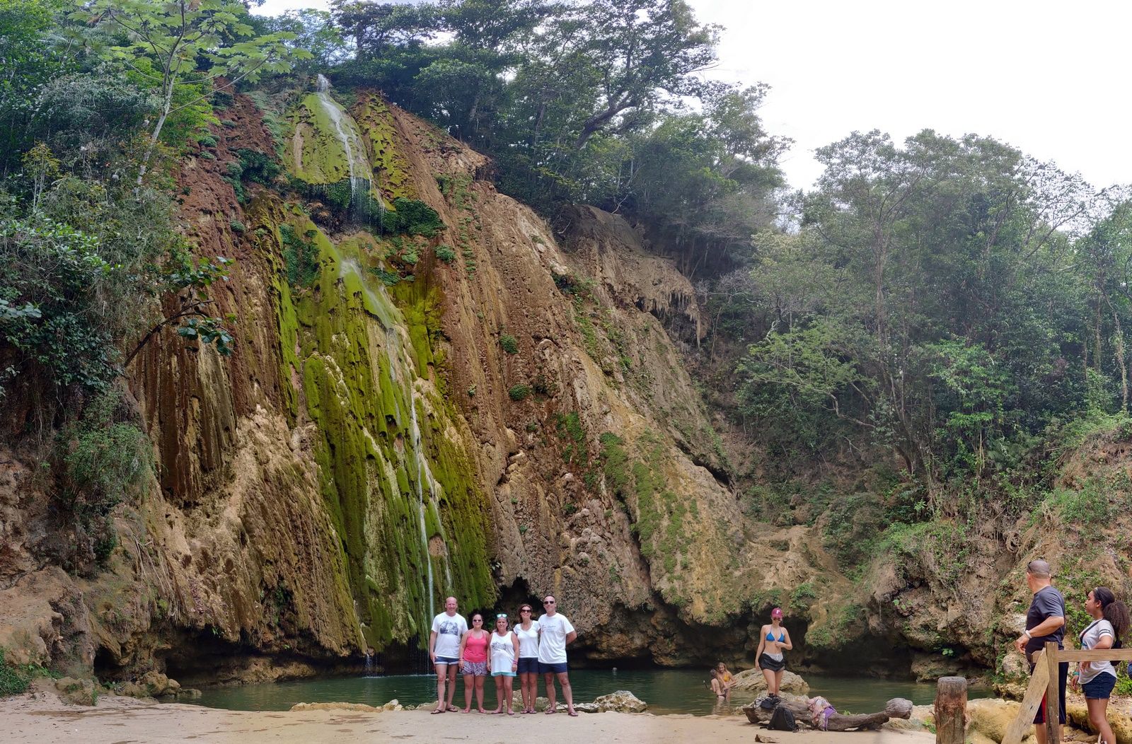 Samana Limon 002 (Copiar).jpg