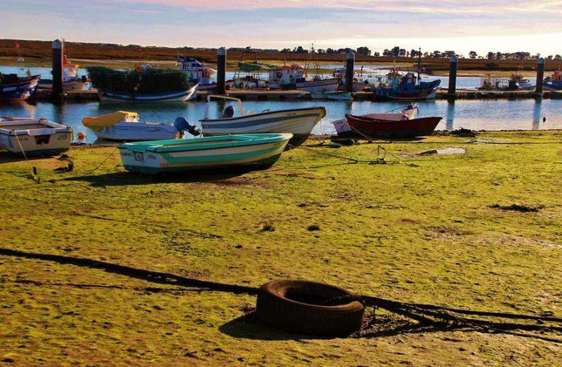 SANTA LUZIA 086