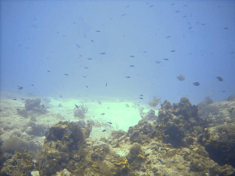 Santa Rosa