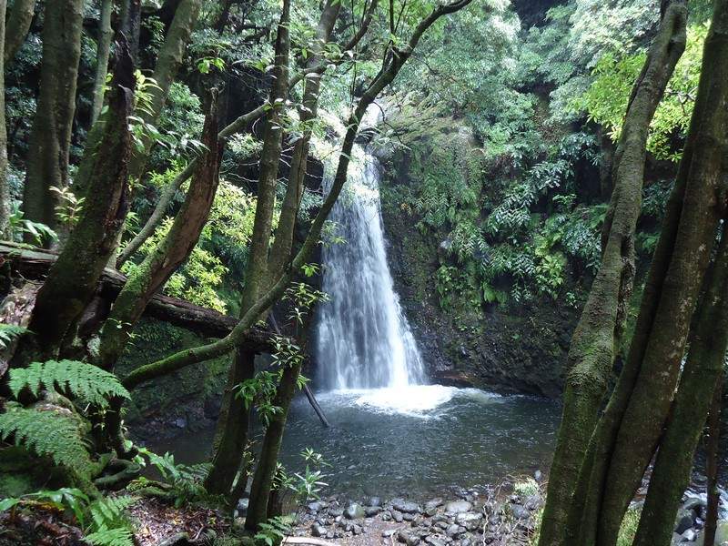 São Miguel00016