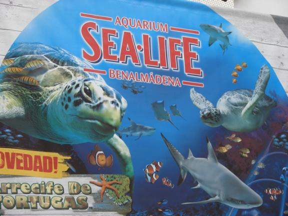 Sealife Benalmadena
