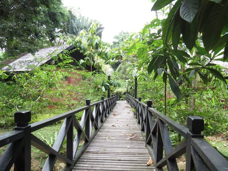 Sepilok Nature Resort