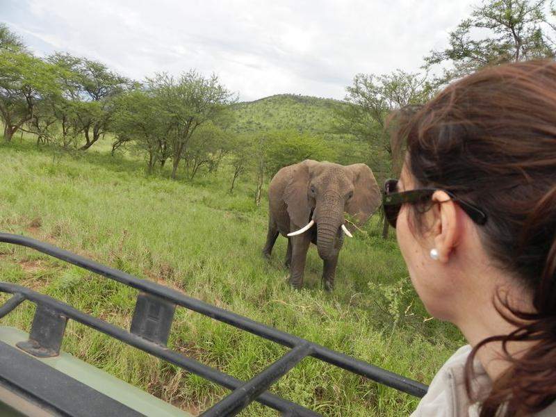 Serengeti