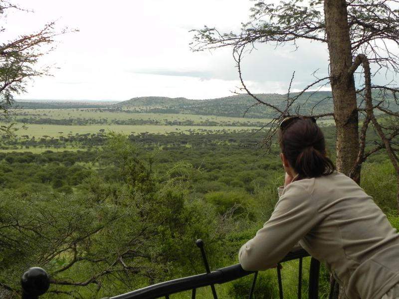 Serengeti