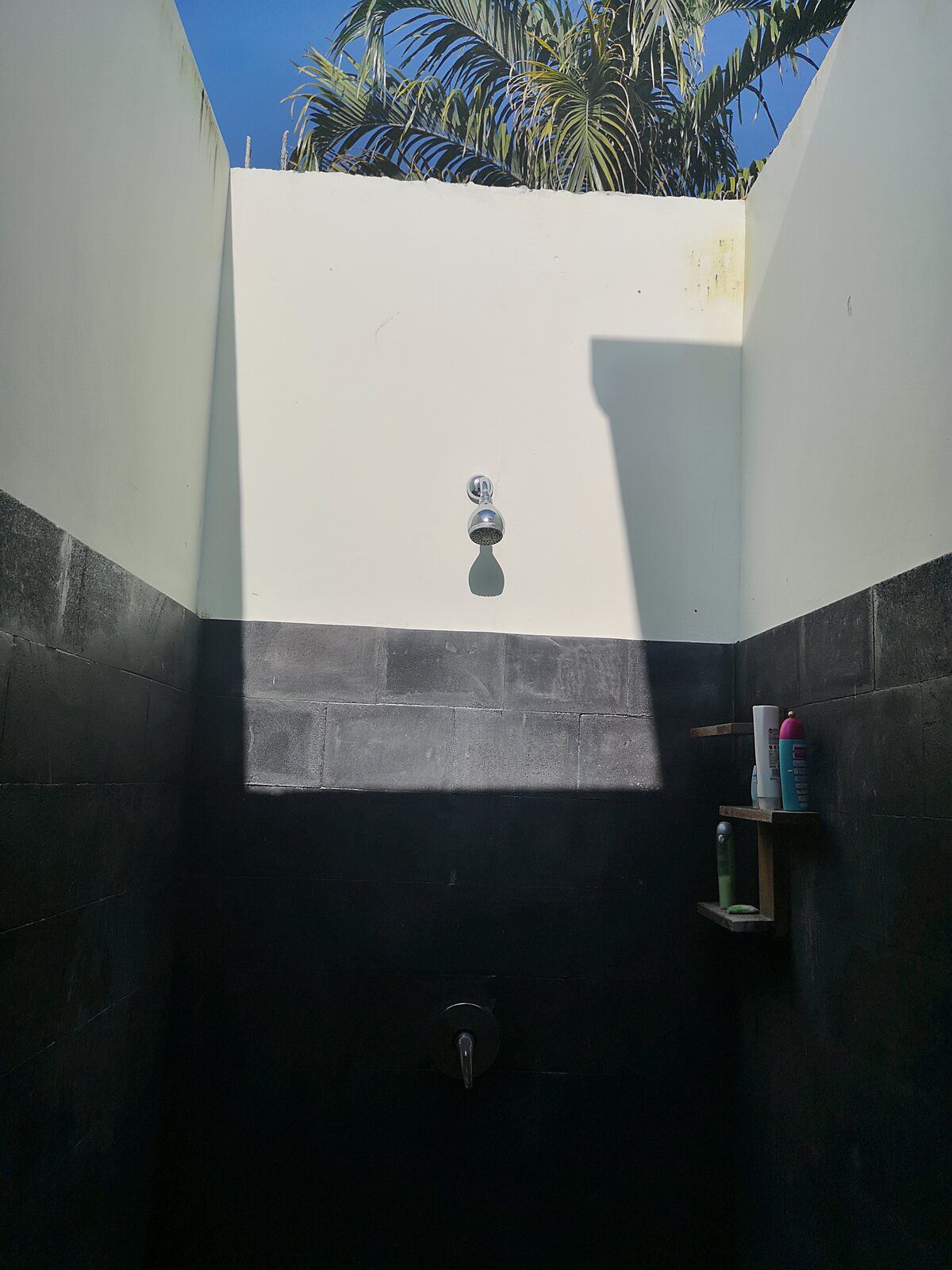 Shu Villa WC1.jpg
