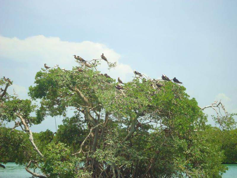Sian Ka´an