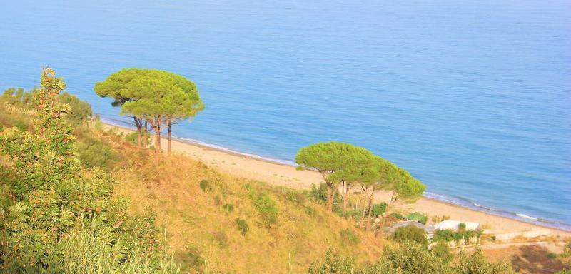 SICILIA 6 542
