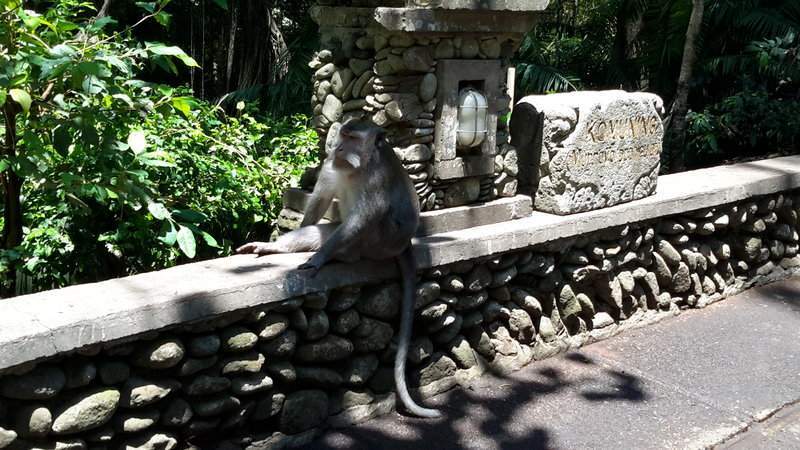 Singapura, Indonésia E Malásia Novembro 2015 410
