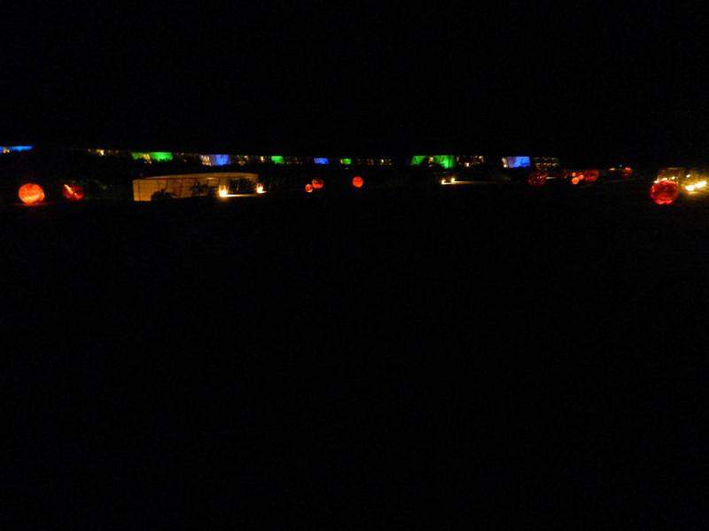 Sirenis by night