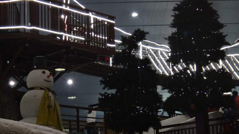 Ski Dubai @ Mall of the Emirates
