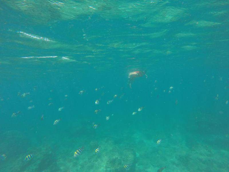 Snorkel em Loh Samah Bay