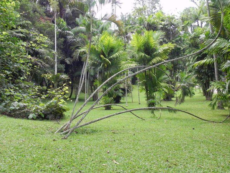 Sri Lanka 2011