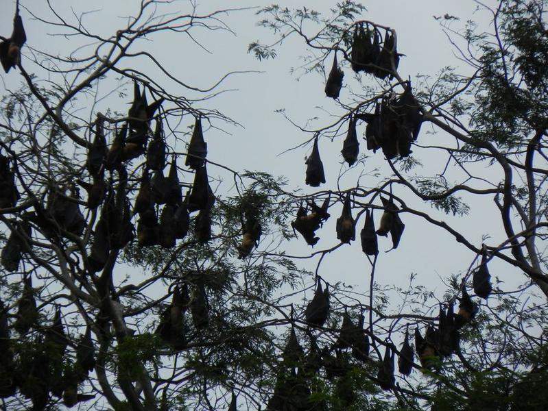 Sri Lanka 2011