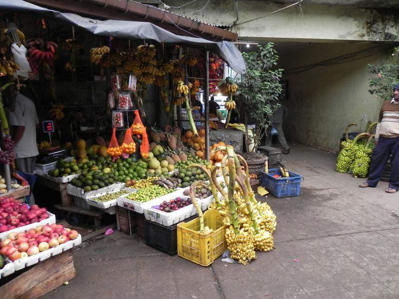 Sri Lanka 2011