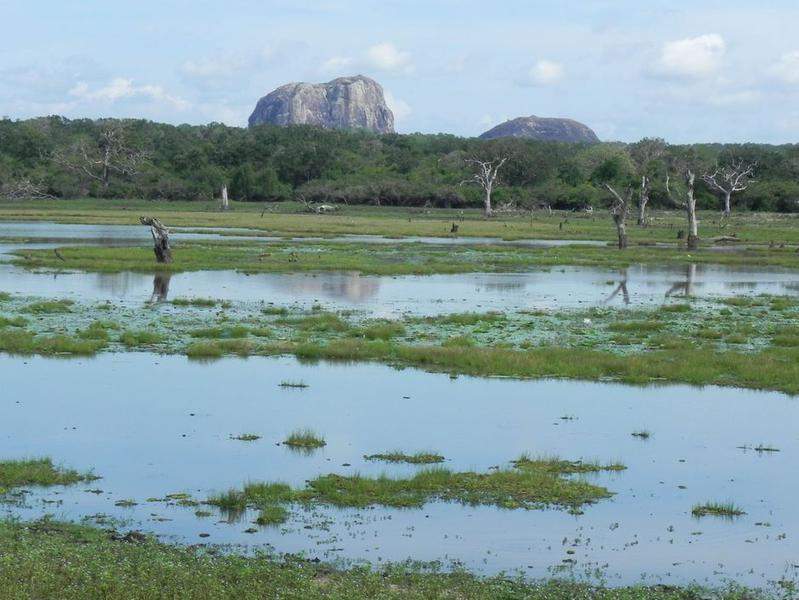 Sri Lanka 2011