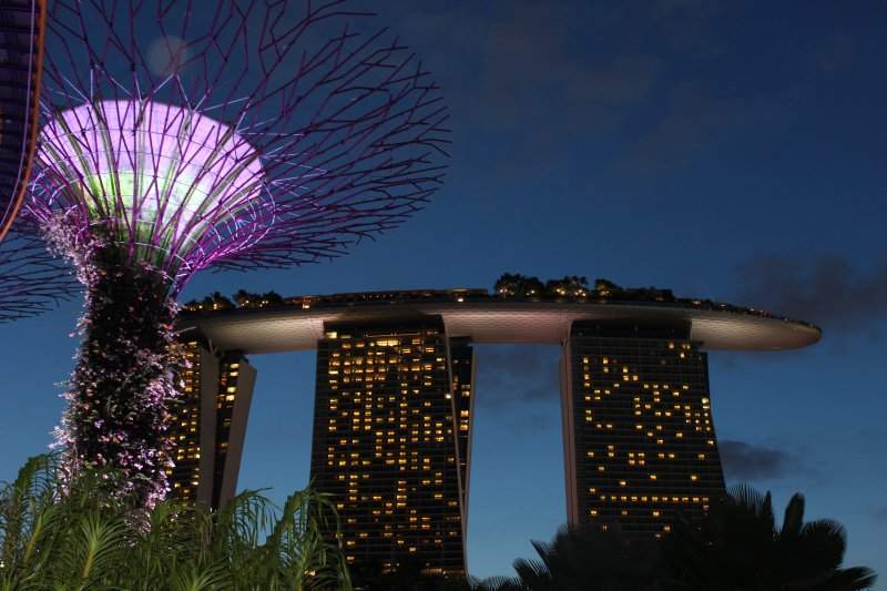 Supertree Grove e Marina Bay Sands