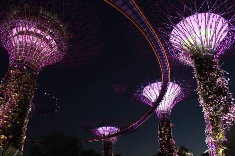 Supertree Grove e OCBC Skyway