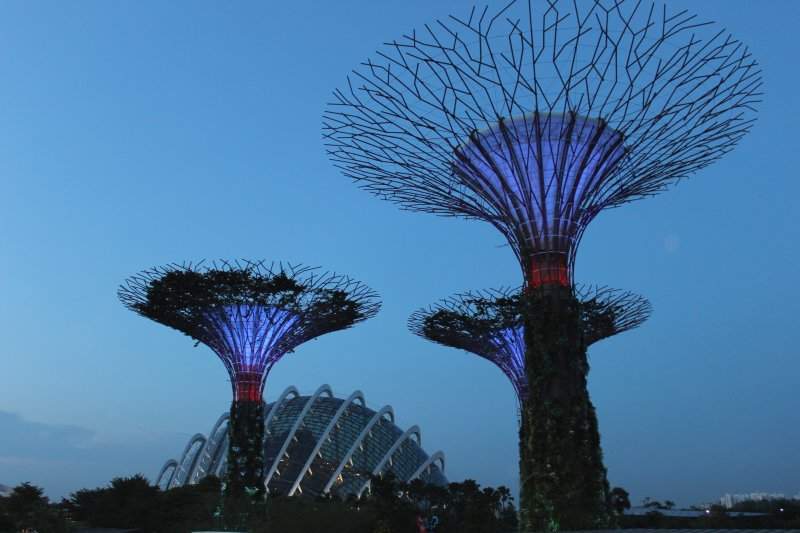Supertree Grove