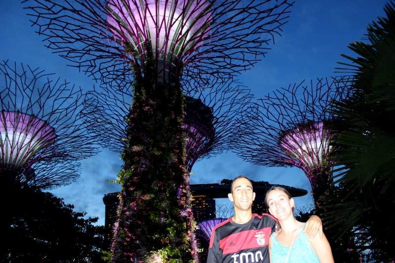 Supertree Grove