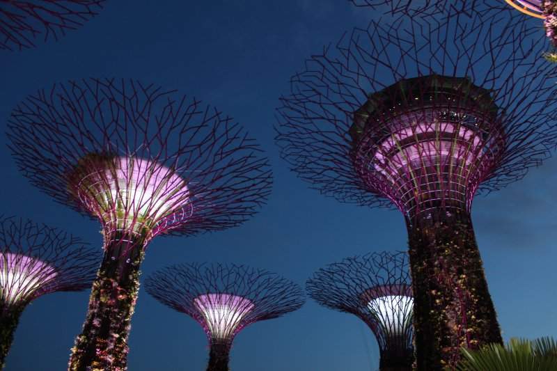 Supertree Grove