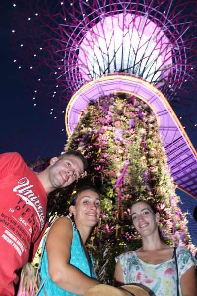 Supertree Grove