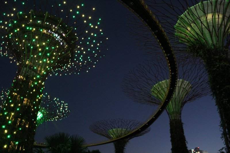 Supertree Grove