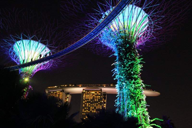 Supertree Grove