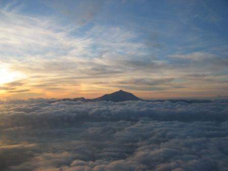 Taide-Tenerife