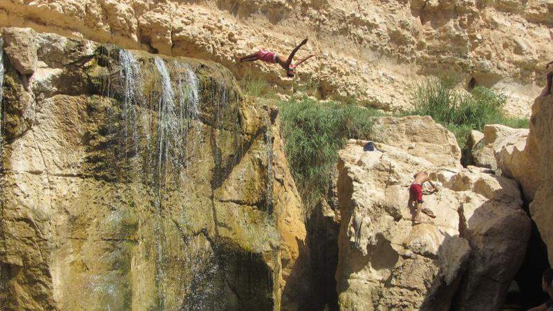 Tamerza 1