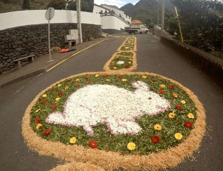 Tapete de flores