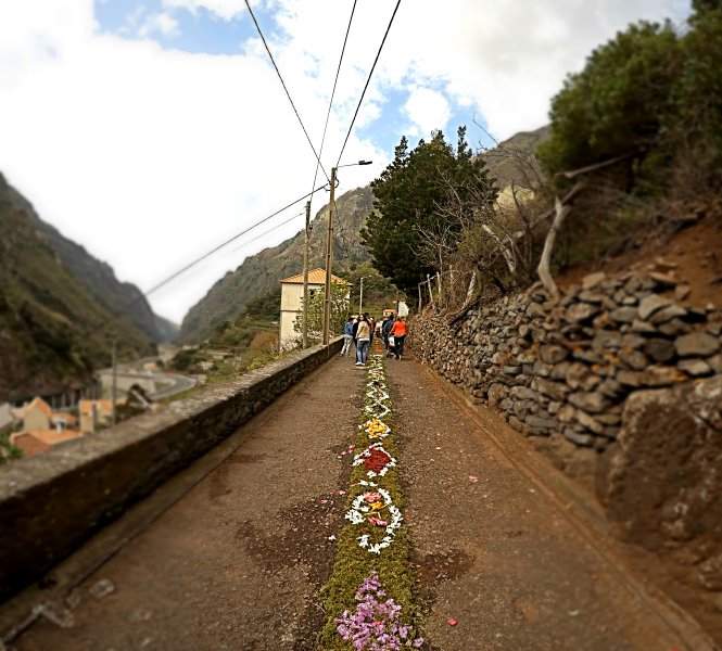 Tapete de flores