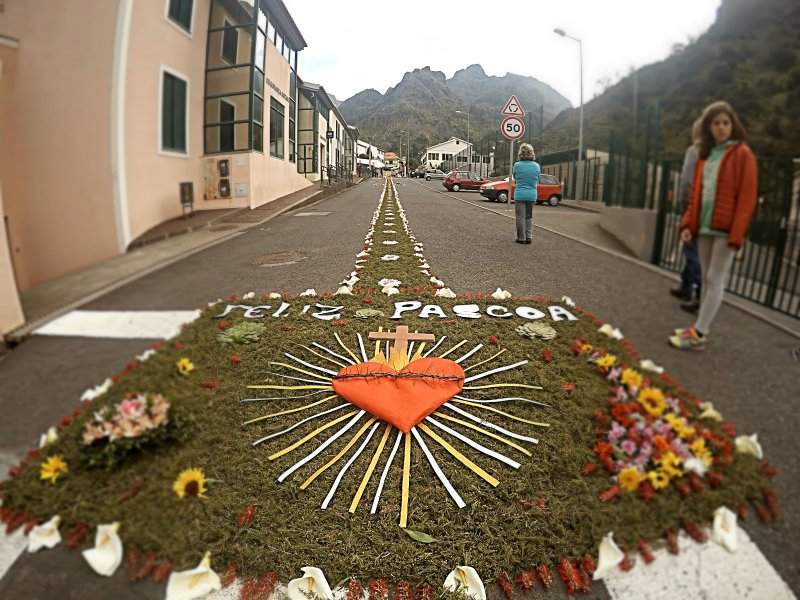 Tapetes de flores para a procissão de Páscoa na Serra d'Água