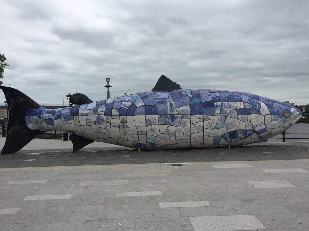 The Big Fish