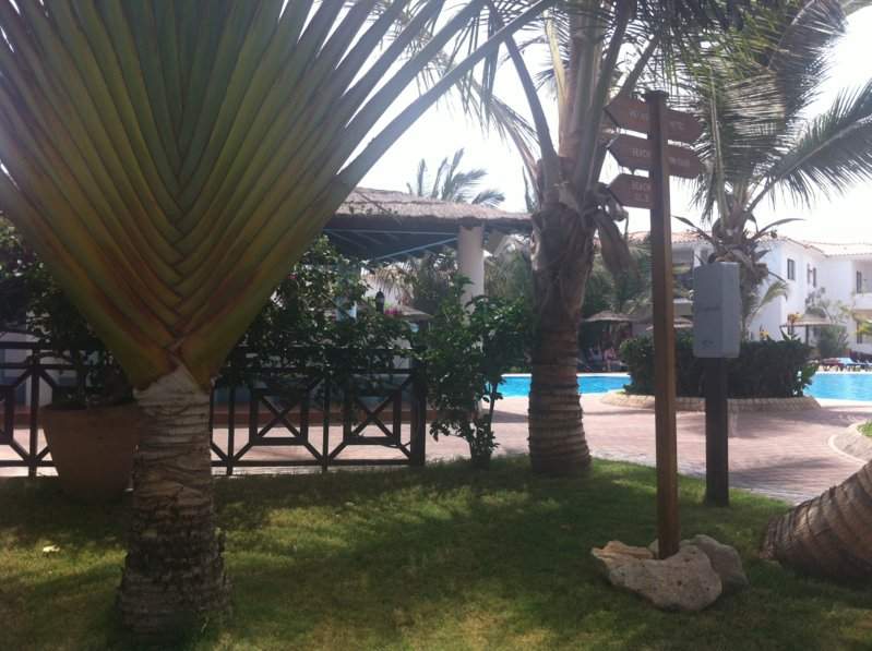 The Pool Bar Panoramic