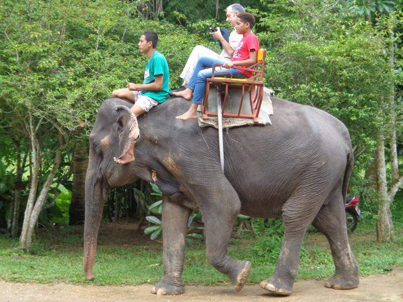Tour Elefante Trecking