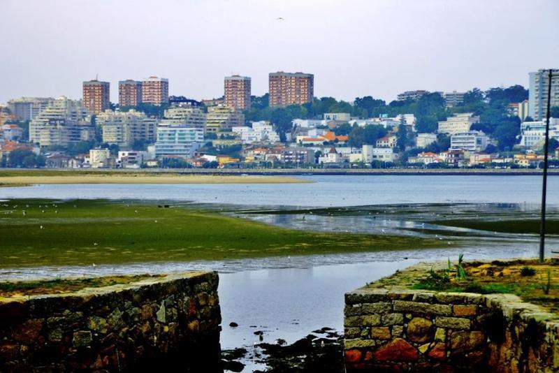 tour porto 3 387