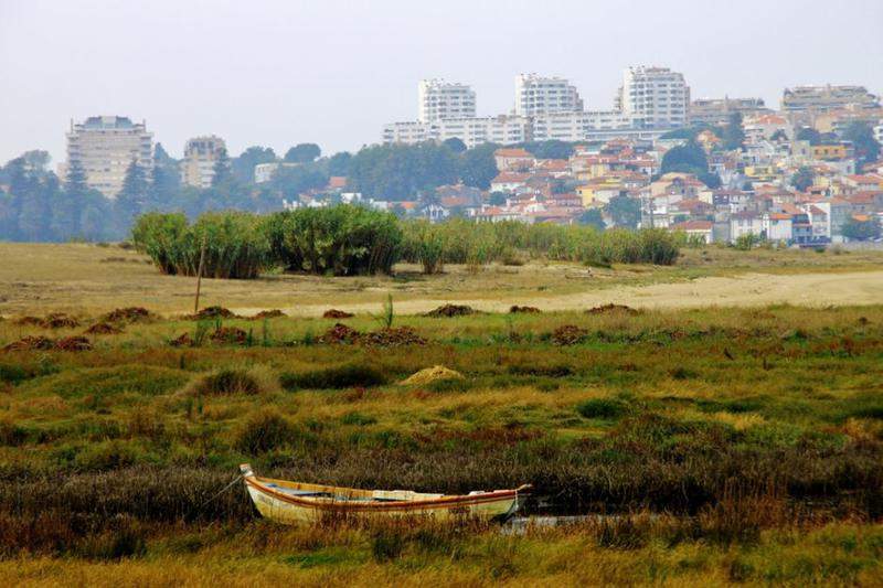 tour porto 3 395