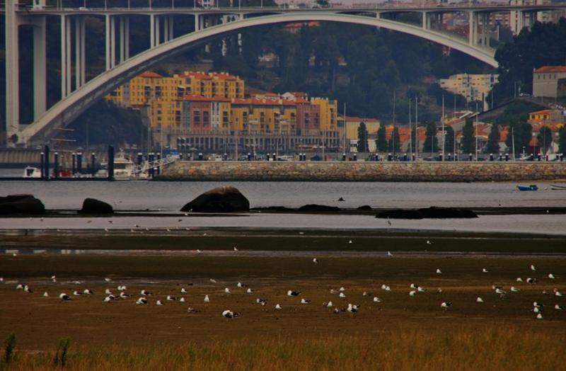 tour porto 3 423