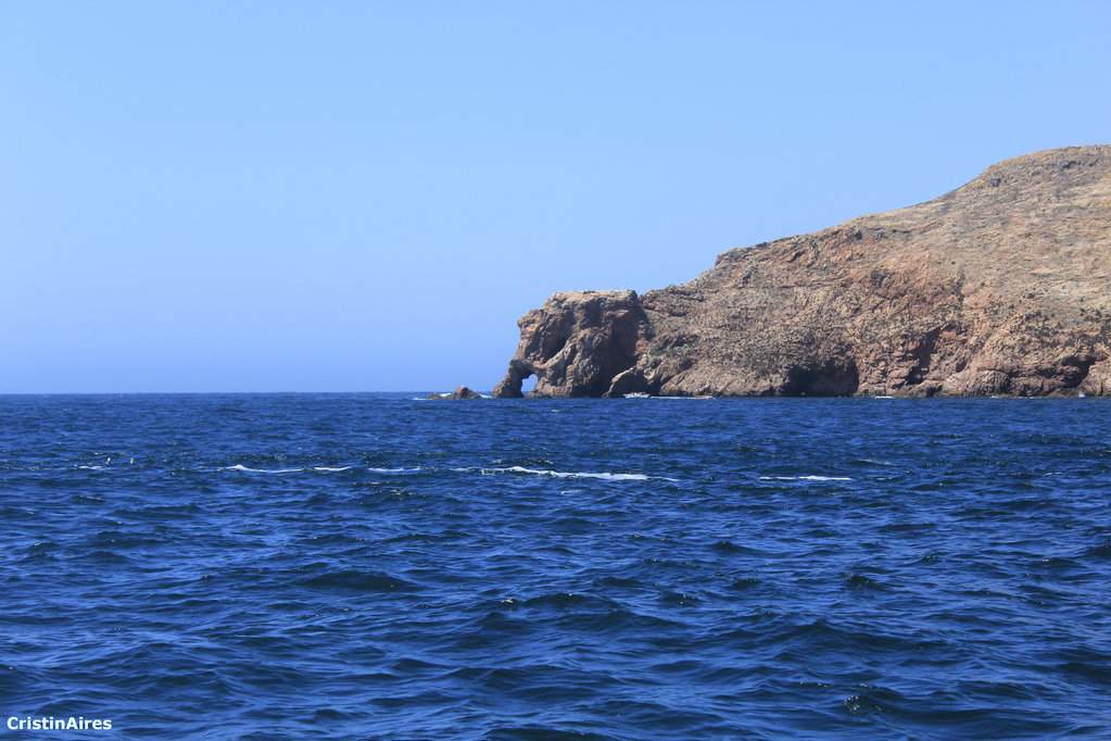 "Tromba de Elefante"