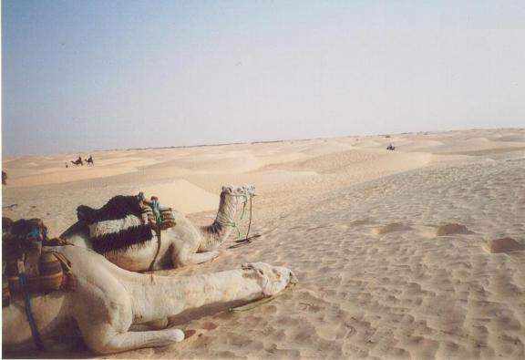 Tunísia _ deserto do Sahara