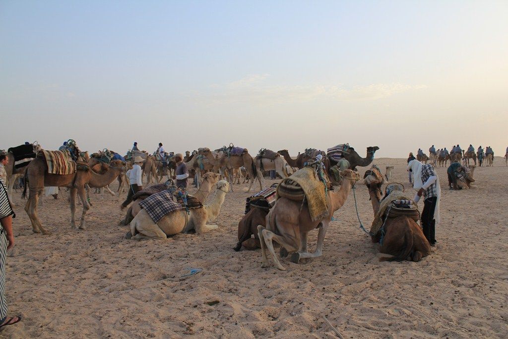 TunisiaR 40.JPG