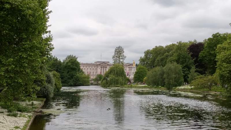 UK (51)