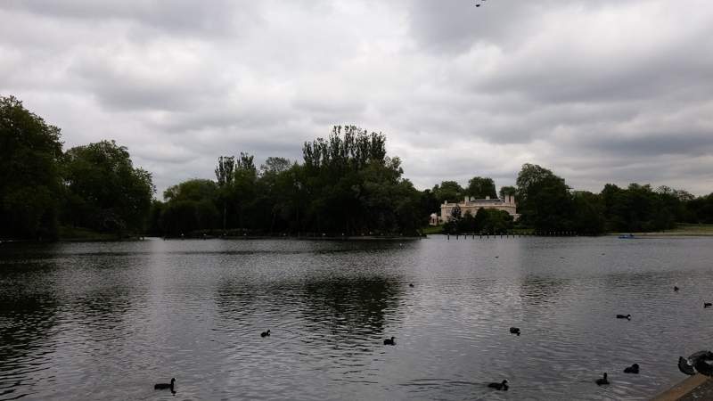 UK (61)