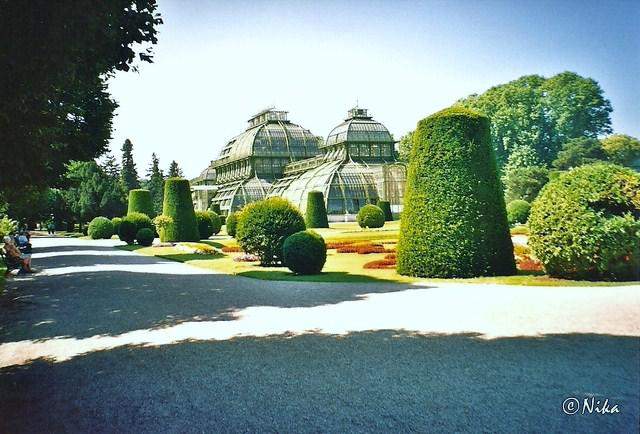Viena   Schonbrunn (estufas)