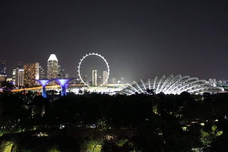 Vista desde OCBC Skyway
