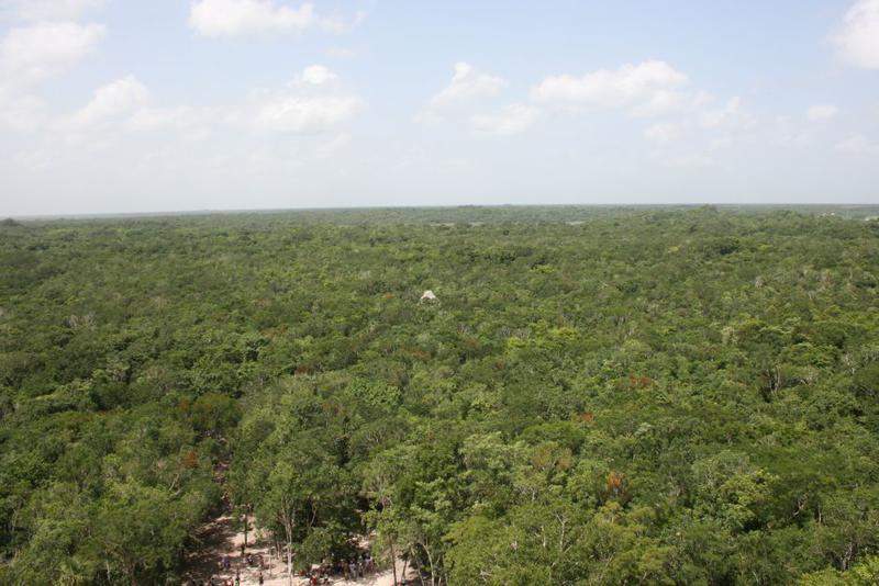 Vista no alto de Coba