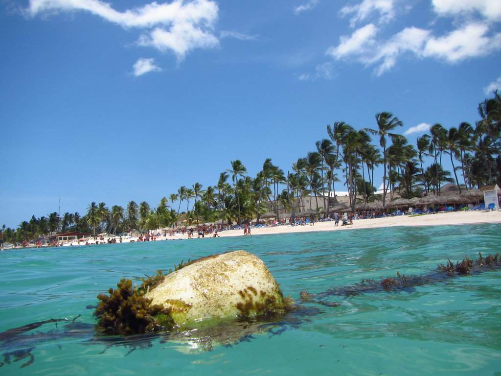 Vista Praia
