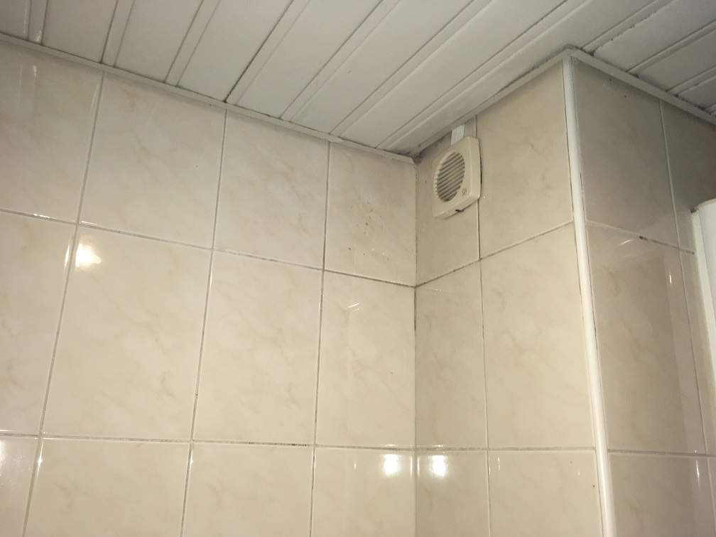 WC Imundo