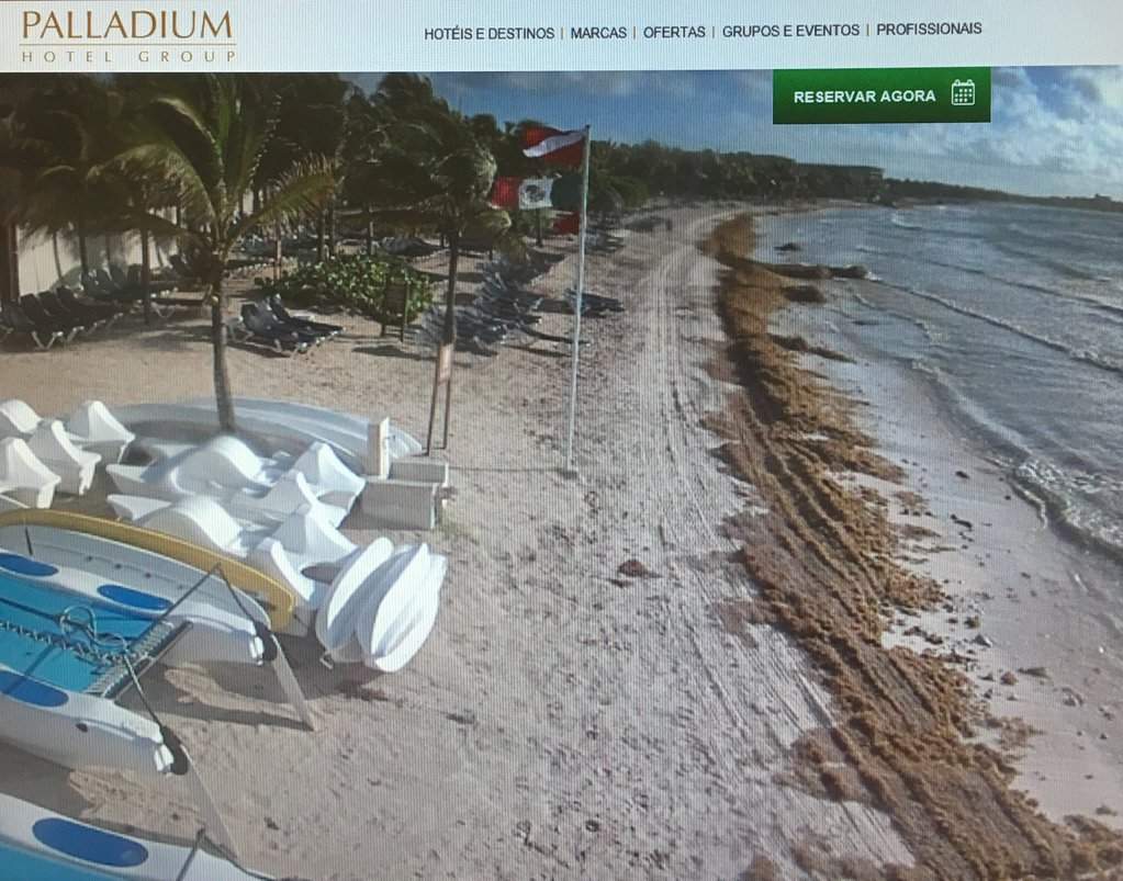 Webcam Hotel Palladium
