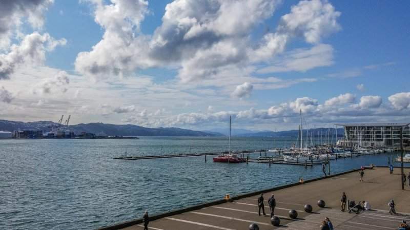 Wellington-10-1300x731
